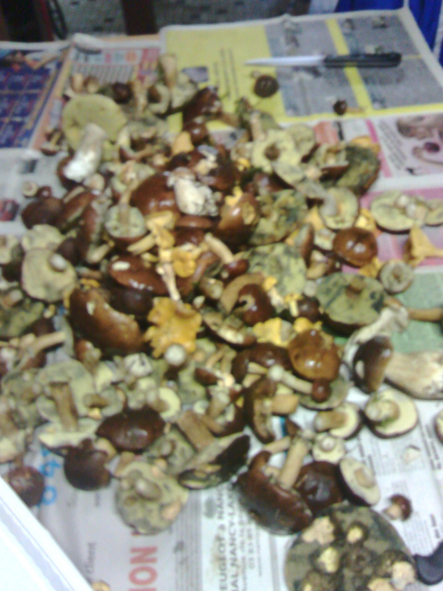 Img 20140828 113629